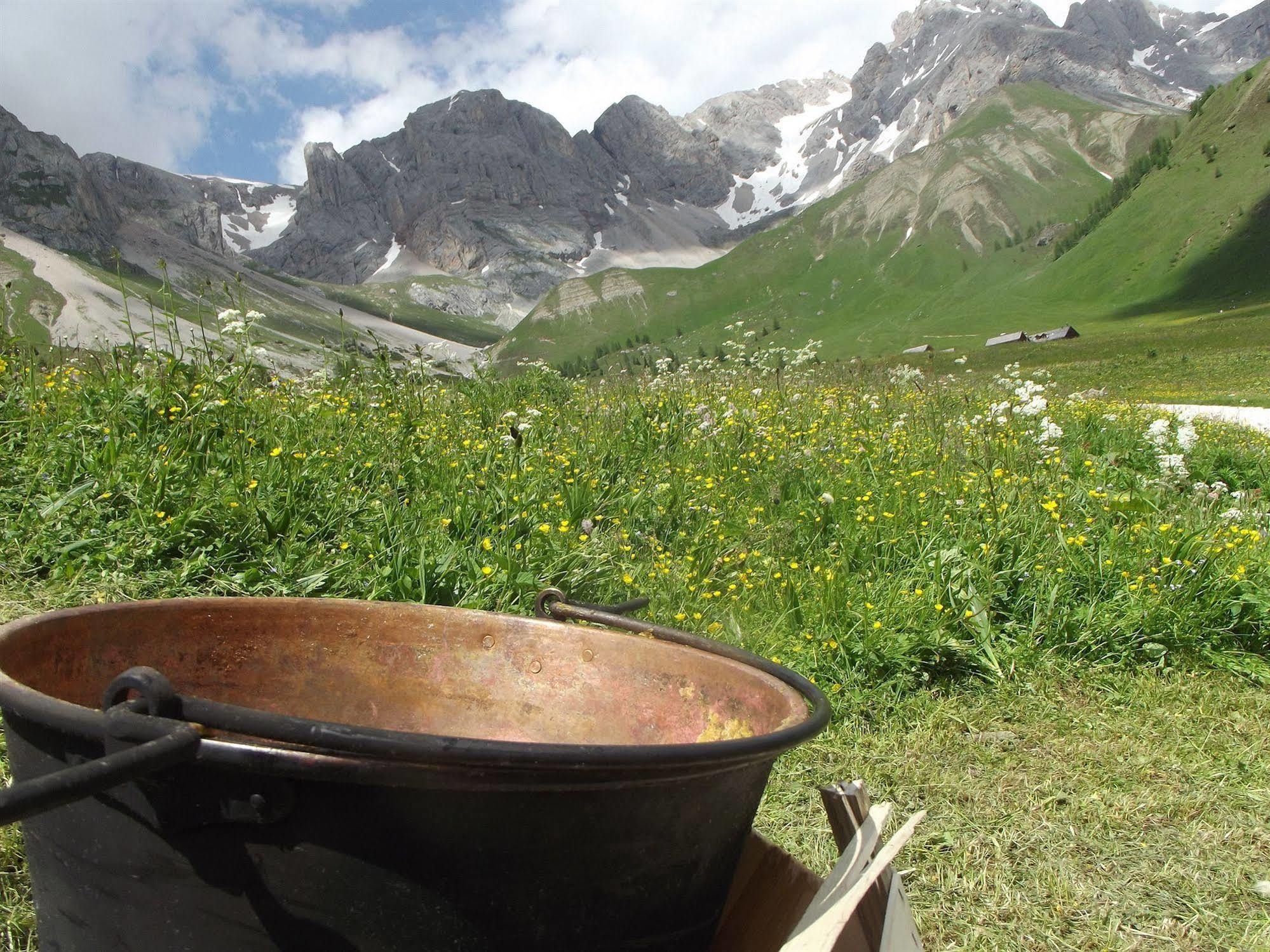 Wellness Hotel Dolomia Soraga Esterno foto